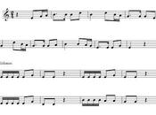 Flauta "Huahuanacá"