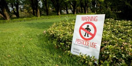 Pesticidas: la industria se enriquece, nuestros niños enferman