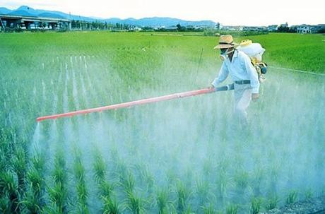 Pesticidas: la industria se enriquece, nuestros niños enferman