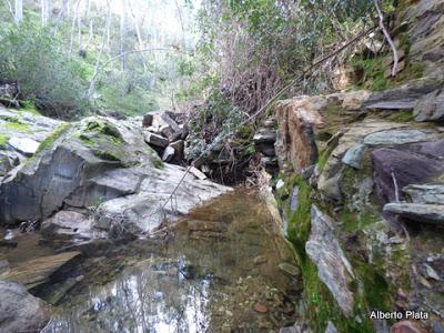 Ruta de Los Molinos del Odiel (Calañas - Sotiel Coronada) __ 7/02/2015