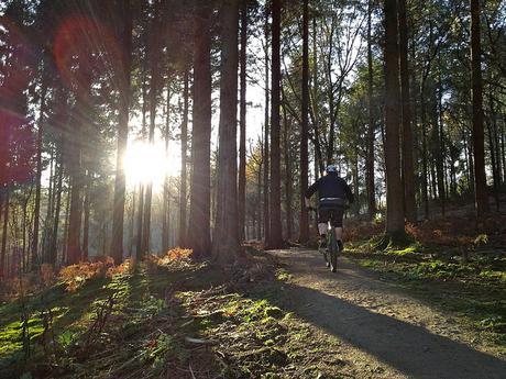 Guía de los aspectos que debes de considerar para seleccionar unos neumáticos para inverno de MTB