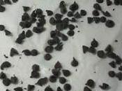 Tarta queso chips ahoy