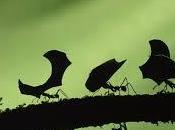 Eliminar hormigas casa