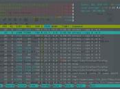 ¿Cómo poner prueba CPU?