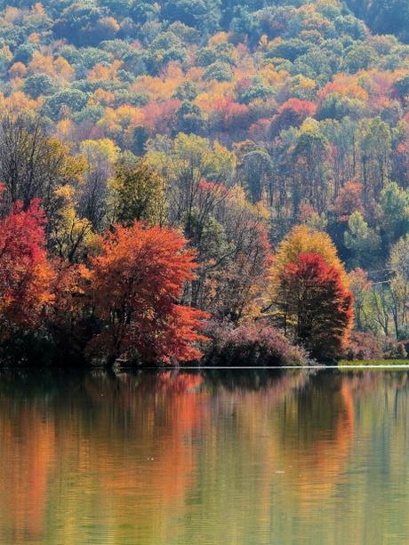 Gotas para los ojos que “disuelven” las cataratas