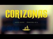 Disco vista Corizonas