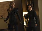 Agentes s.h.i.e.l.d -temporada among hide