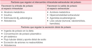 Los minerales clave en la enfermedad renal crónica (por Tatiana Diaz Castro)