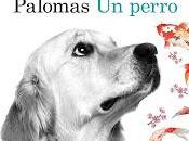 perro Alejandro Palomas