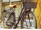 Alquiler Bicicletas
