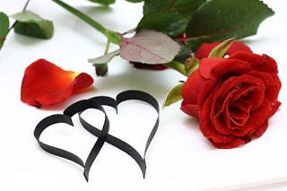 Los 5 títulos de viveLibro para celebrar San Valentín