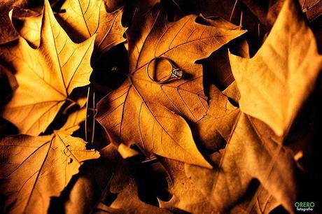 Una pedida de mano con la que vais a MORIR DE AMOR y si, en España!