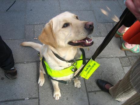 Reseña de «Cierra los ojos y mírame» de Manuel Enríquez y Ana Galán (Planeta)