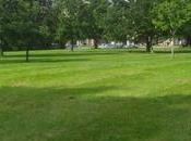 novedosa tecnología permite generar electricidad partir árboles