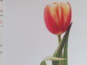 bloguero Madresfera segunda parte