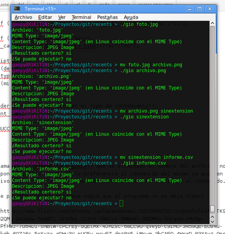 Conocer el tipo MIME de un archivo gracias a GIO en lenguaje C