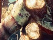 Dead Island: Retro Revenge registrado Australia