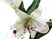 Cult Hidden City (2016) Nuestra energía oscura