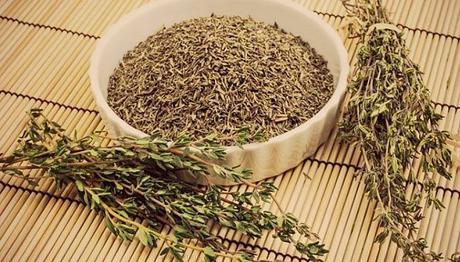 10 diferentes tipos de plantas medicinales