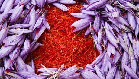 10 diferentes tipos de plantas medicinales