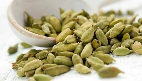 10 diferentes tipos de plantas medicinales