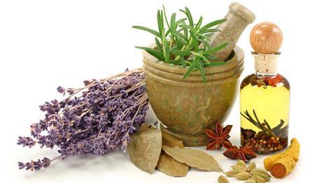 10 diferentes tipos de plantas medicinales