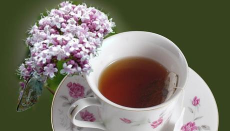 Los 9 mejores remedios caseros para el insomnio Los 9 mejores remedios caseros para el insomnio