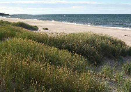 Doble silencio de Mari Jungstedt.