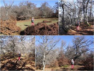 Sobrefoz-Ventaniella-Cotalbo-Cerra'l Altu Pasu-Ambenes