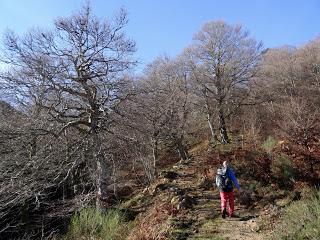 Sobrefoz-Ventaniella-Cotalbo-Cerra'l Altu Pasu-Ambenes