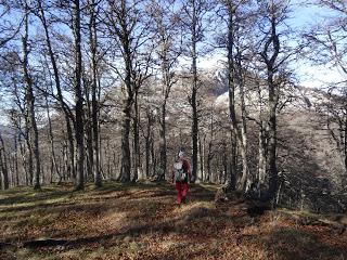 Sobrefoz-Ventaniella-Cotalbo-Cerra'l Altu Pasu-Ambenes