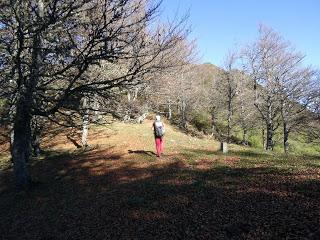 Sobrefoz-Ventaniella-Cotalbo-Cerra'l Altu Pasu-Ambenes