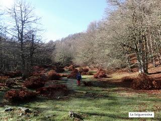 Sobrefoz-Ventaniella-Cotalbo-Cerra'l Altu Pasu-Ambenes