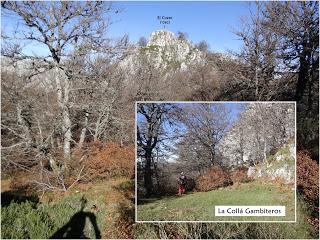 Sobrefoz-Ventaniella-Cotalbo-Cerra'l Altu Pasu-Ambenes