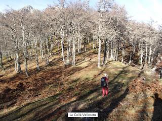 Sobrefoz-Ventaniella-Cotalbo-Cerra'l Altu Pasu-Ambenes