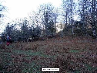 Sobrefoz-Ventaniella-Cotalbo-Cerra'l Altu Pasu-Ambenes