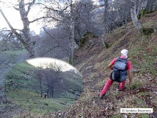 Sobrefoz-Ventaniella-Cotalbo-Cerra'l Altu Pasu-Ambenes