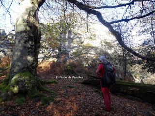 Sobrefoz-Ventaniella-Cotalbo-Cerra'l Altu Pasu-Ambenes