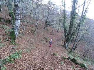 Sobrefoz-Ventaniella-Cotalbo-Cerra'l Altu Pasu-Ambenes