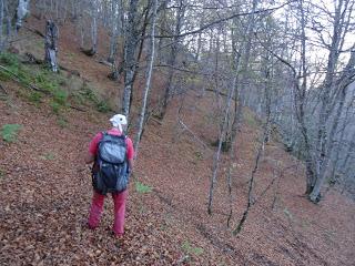 Sobrefoz-Ventaniella-Cotalbo-Cerra'l Altu Pasu-Ambenes