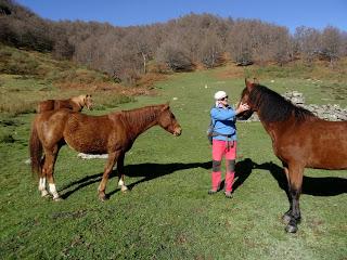 Sobrefoz-Ventaniella-Cotalbo-Cerra'l Altu Pasu-Ambenes