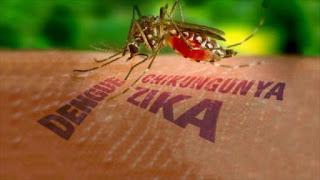 Zika: ¿qué papel juega la acción del hombre?