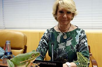 ¡Marchando una de ranas!