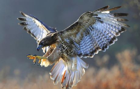 Y a ti…¿Qué te impide volar?