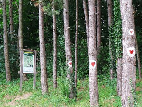 Los monasterios del Parque Nacional de Fruška Gora y Sremski Karlovci