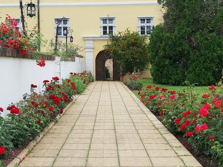 Los monasterios del Parque Nacional de Fruška Gora y Sremski Karlovci