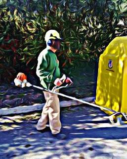 UN JARDINERO HA DE LABRARSE SU PROPIO CAMINO