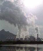 Difícil de incorporar perspectiva de género en COP-16 Difícil de incorporar perspectiva de género en COP-16