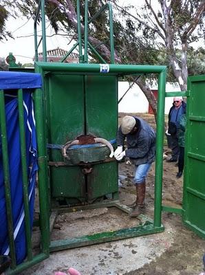 El bazar de los horrores