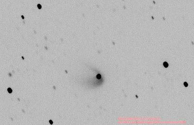 Scheila sale del armario